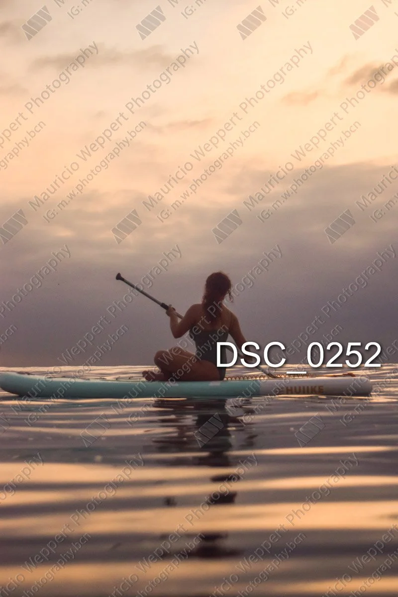 DSC_0252.jpg