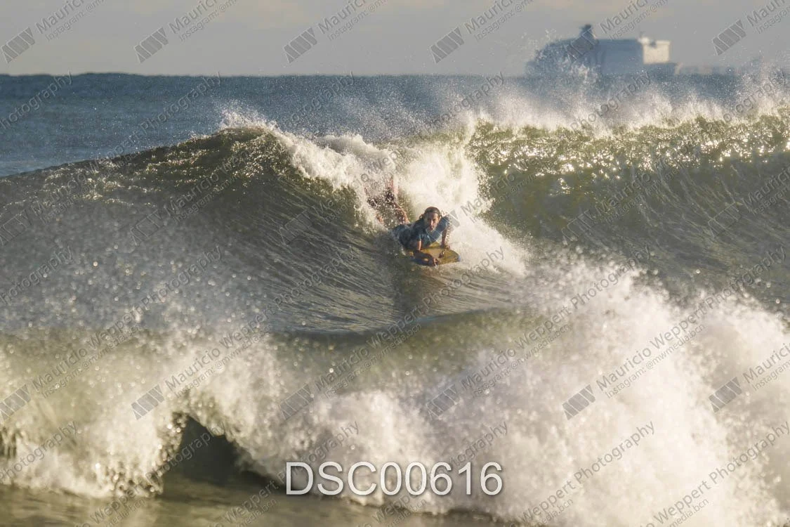 DSC00616.jpg