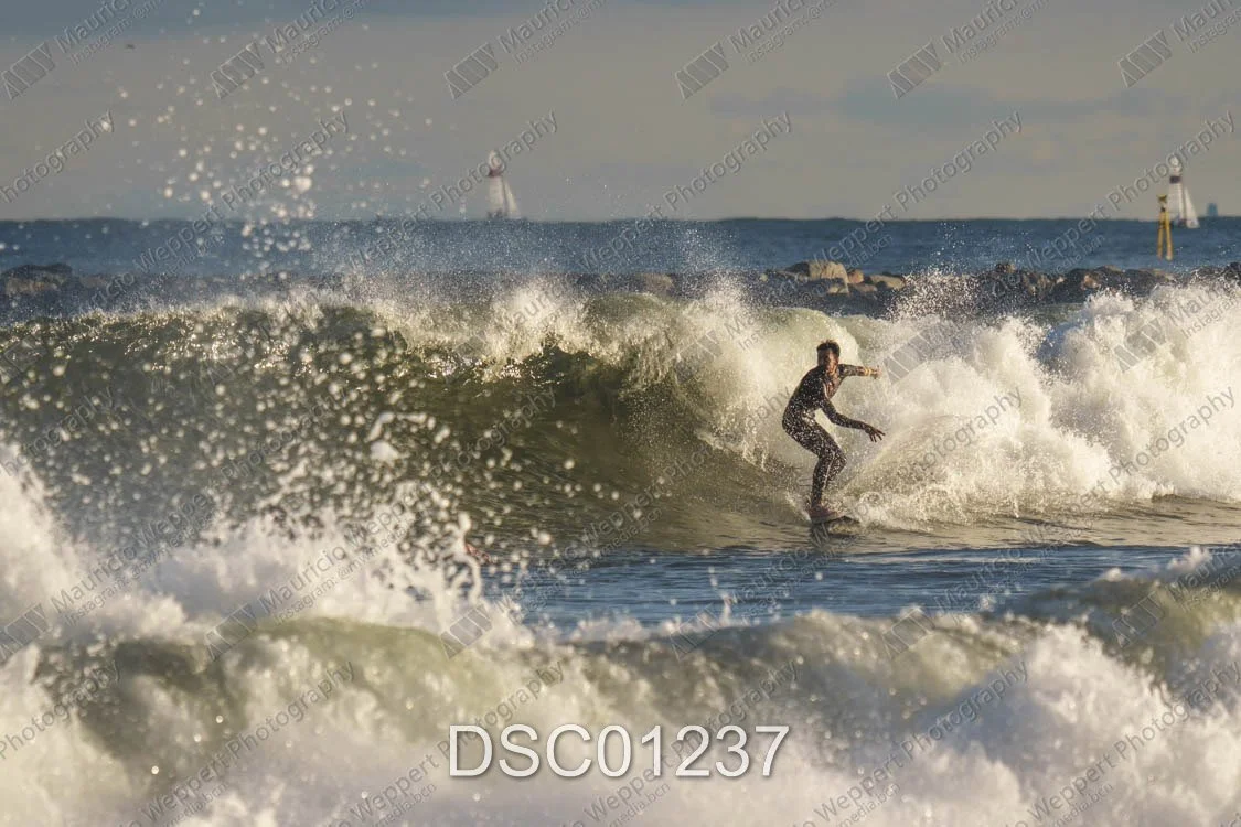 DSC01237.jpg