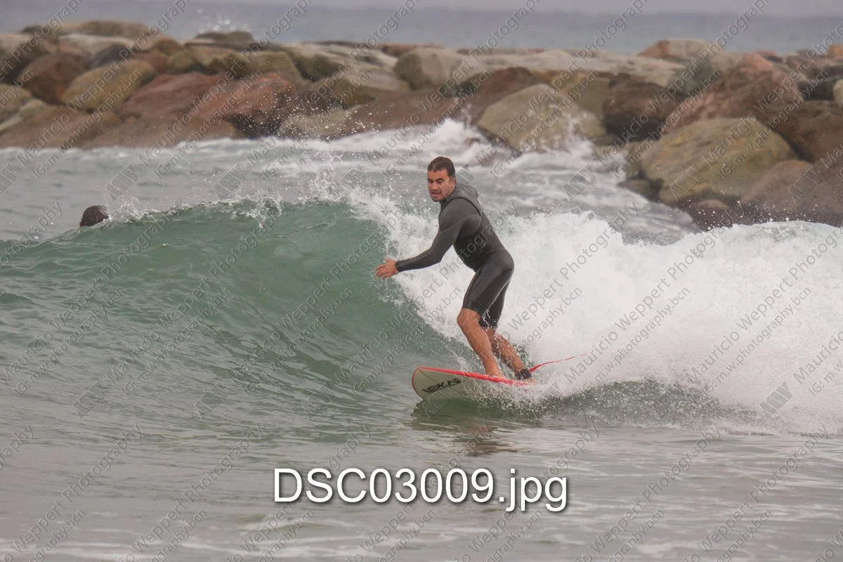 DSC03009.jpg
