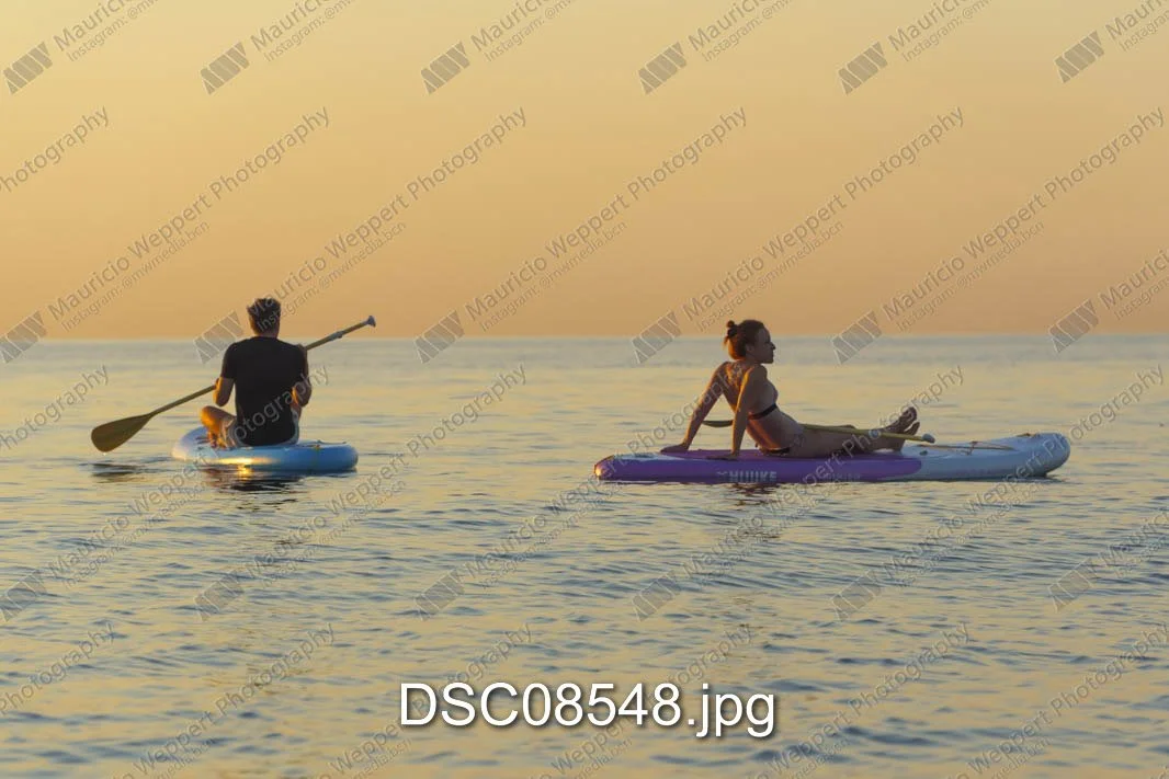 DSC08548.jpg