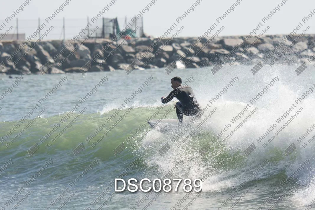 DSC08789.jpg