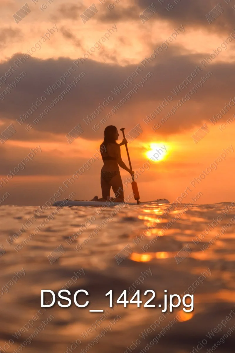 DSC_1442.jpg