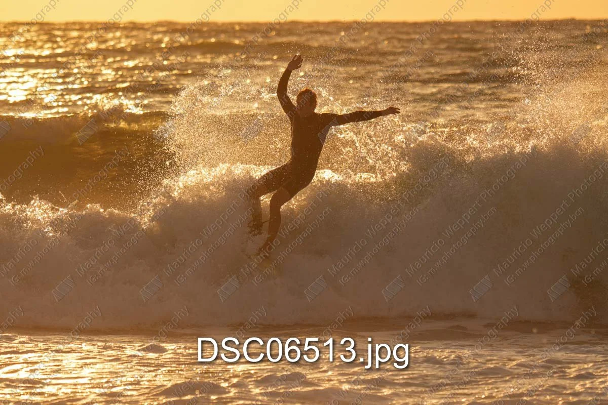 DSC06513.jpg
