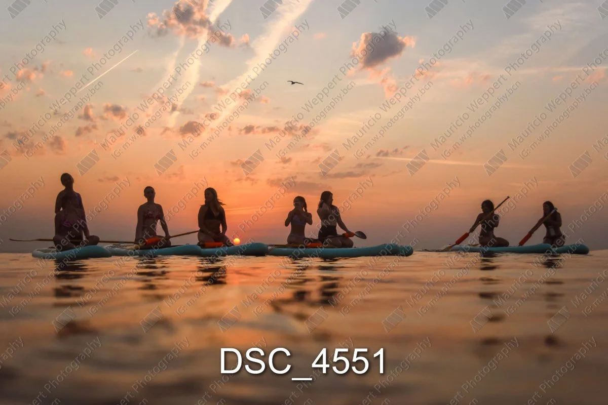 DSC_4551.jpg