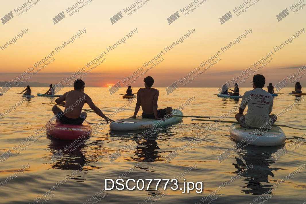 DSC07773.jpg