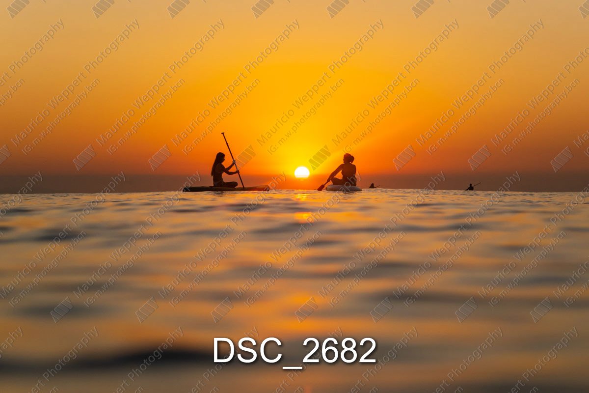 DSC_2682.jpg