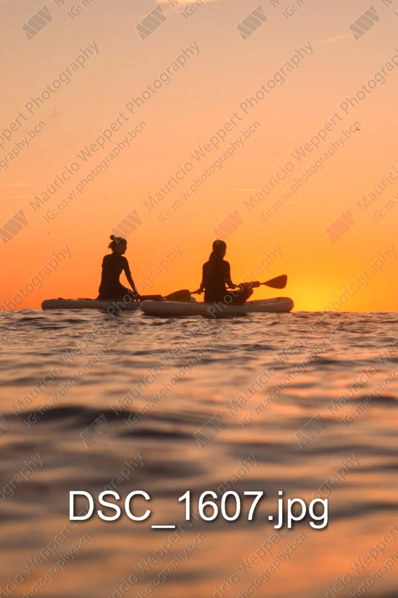 DSC_1607.jpg