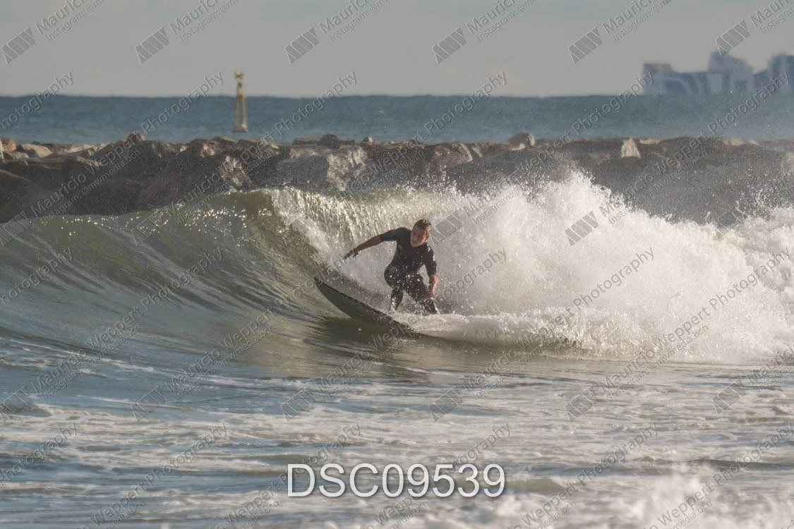 DSC09539.jpg