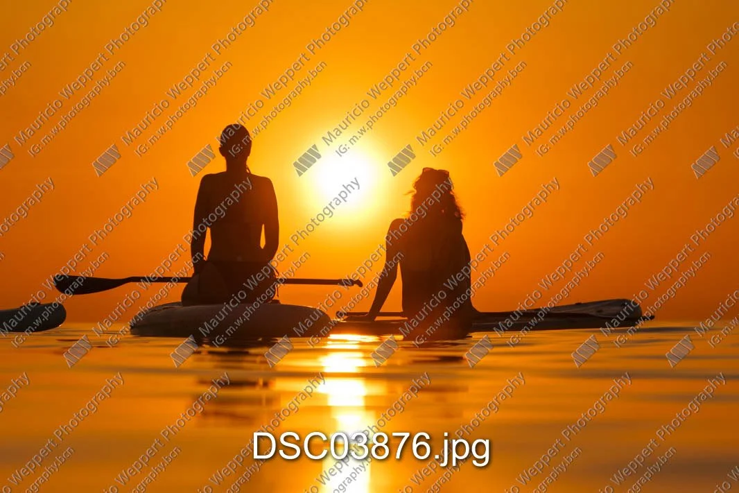 DSC03876.jpg