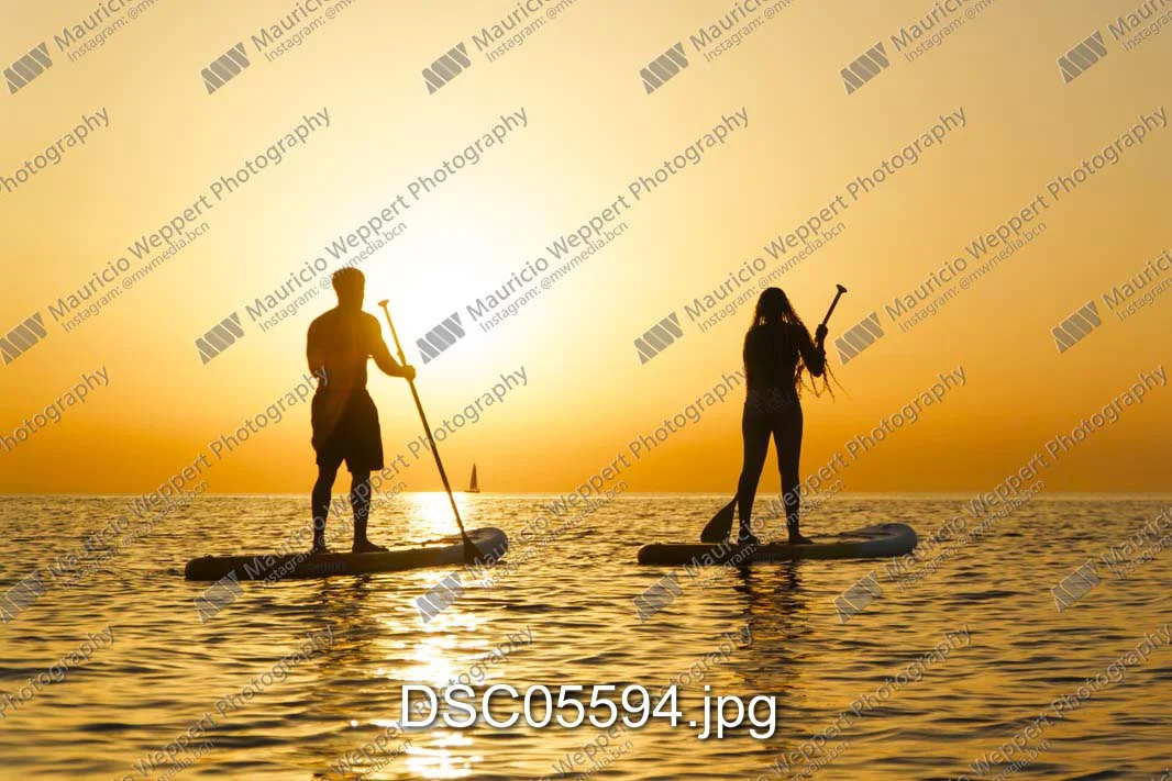 DSC05594.jpg