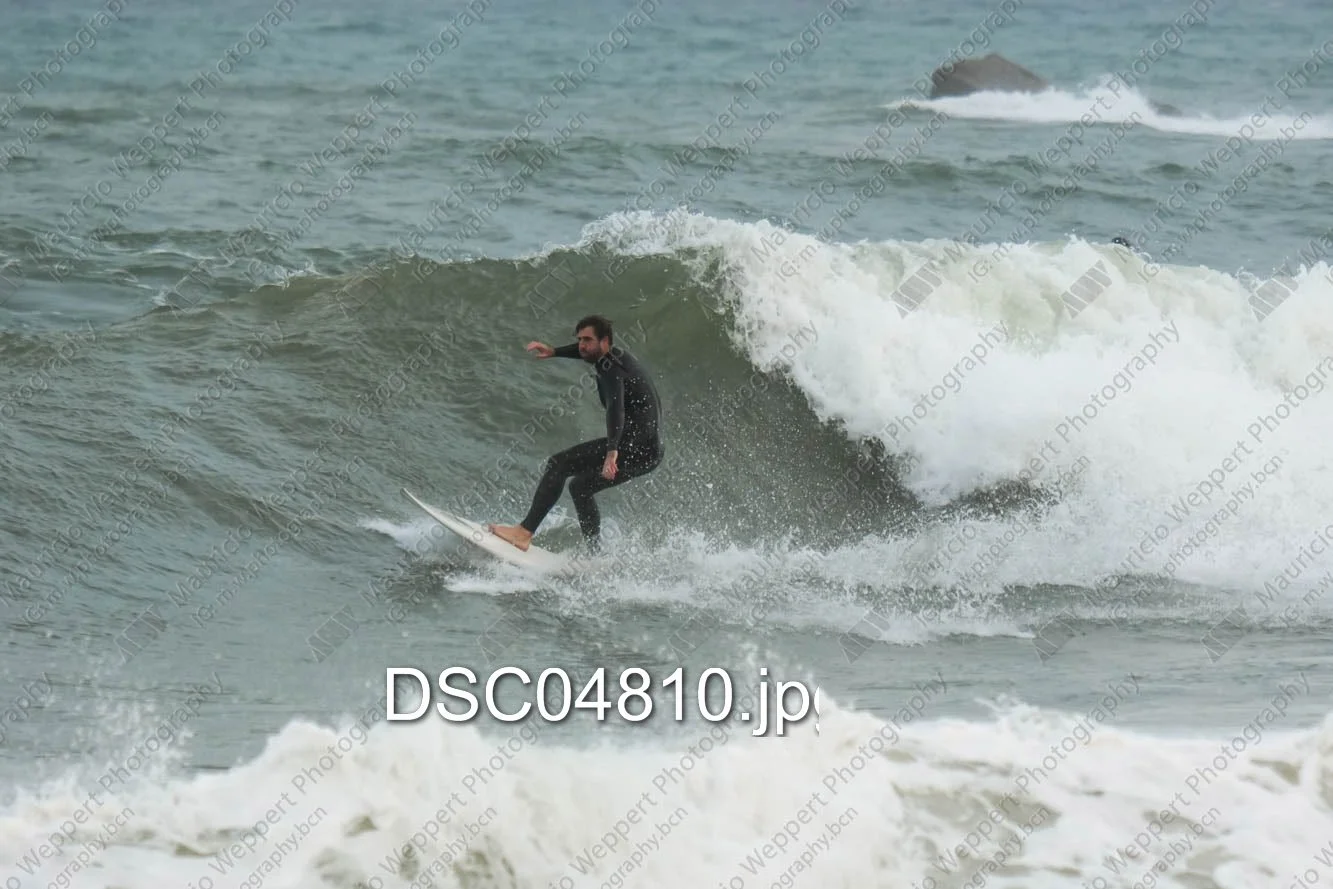 DSC04810.jpg