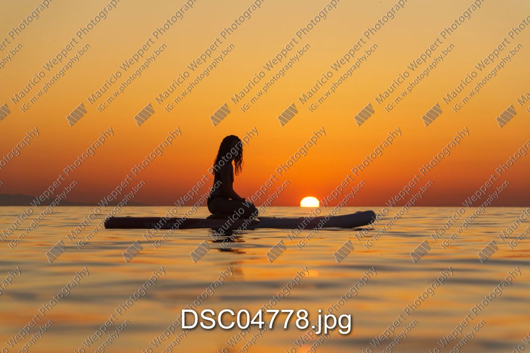 DSC04778.jpg