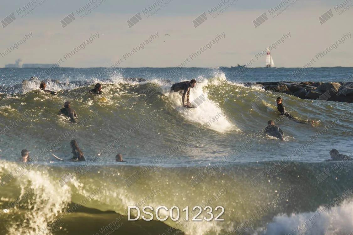 DSC01232.jpg