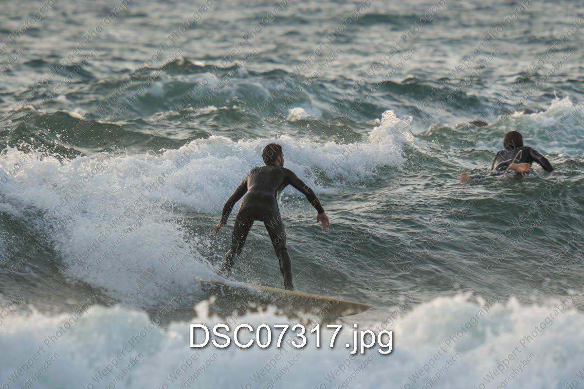 DSC07317.jpg