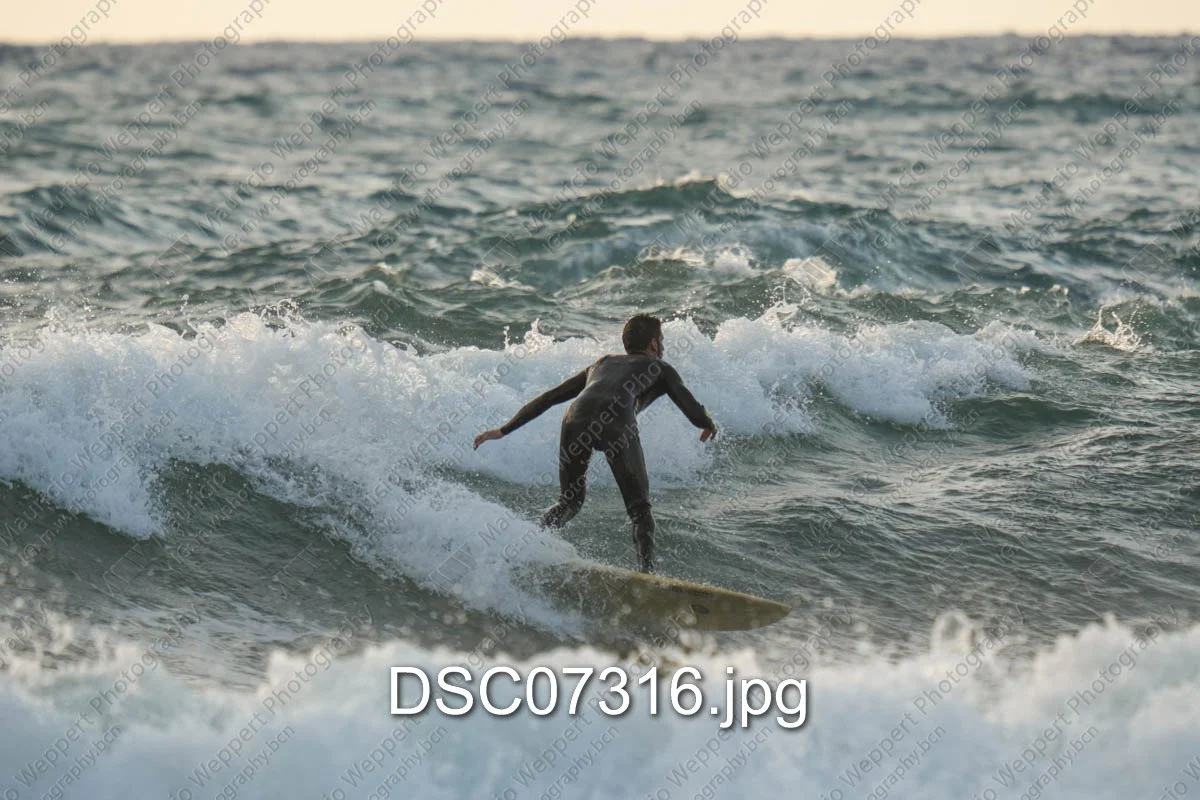 DSC07316.jpg