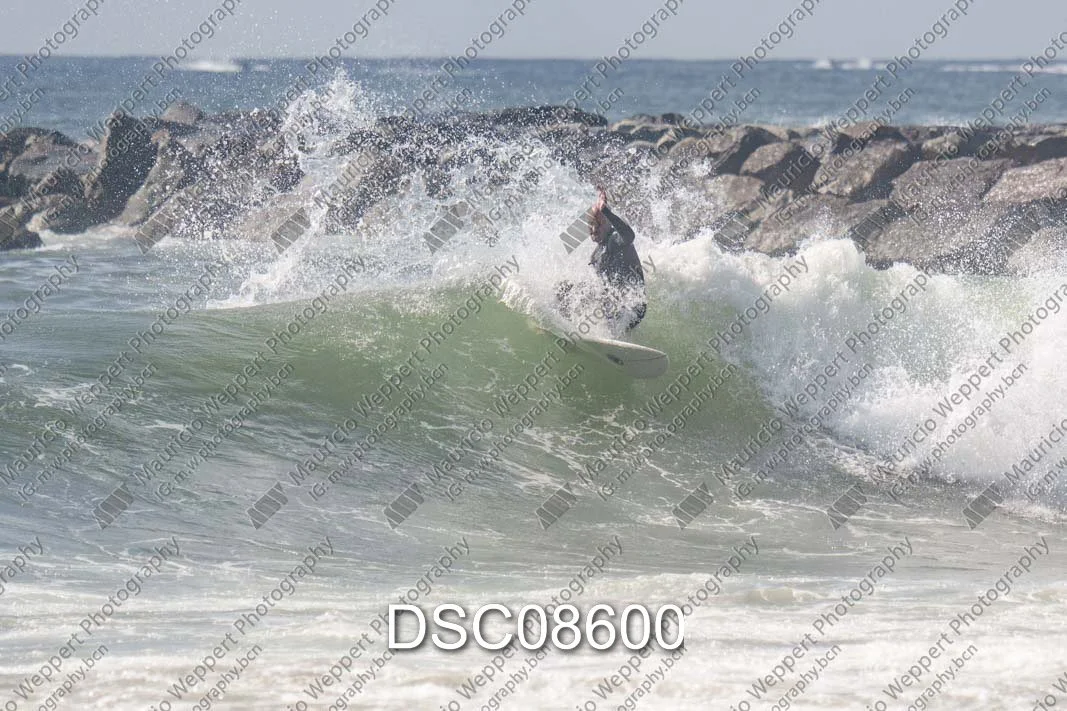 DSC08600.jpg