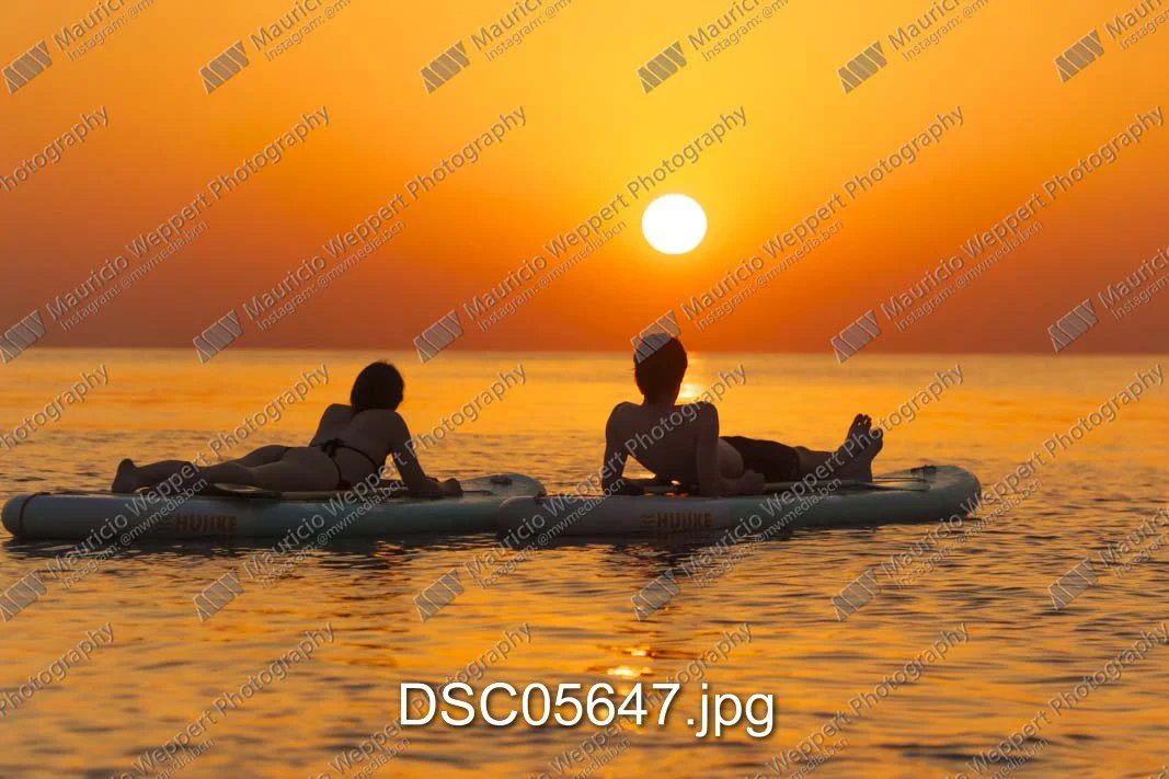 DSC05647.jpg