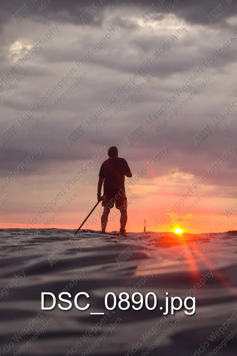 DSC_0890.jpg