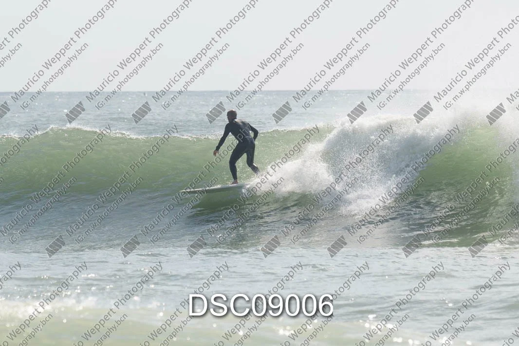 DSC09006.jpg
