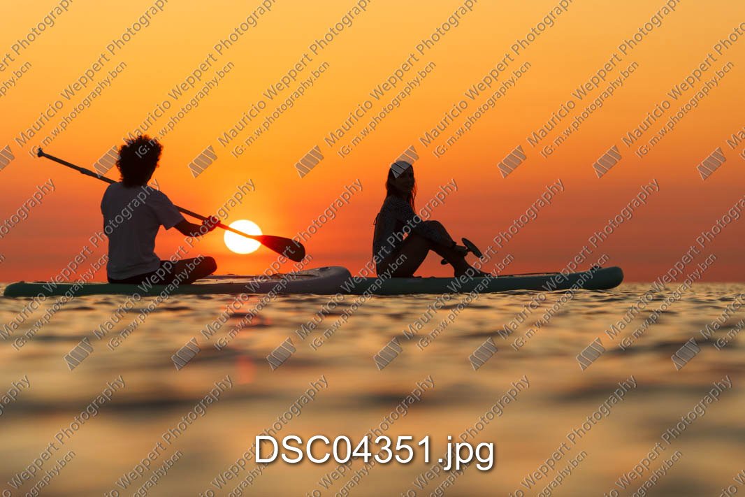 DSC04351.jpg