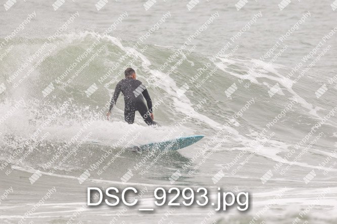 DSC_9293.jpg