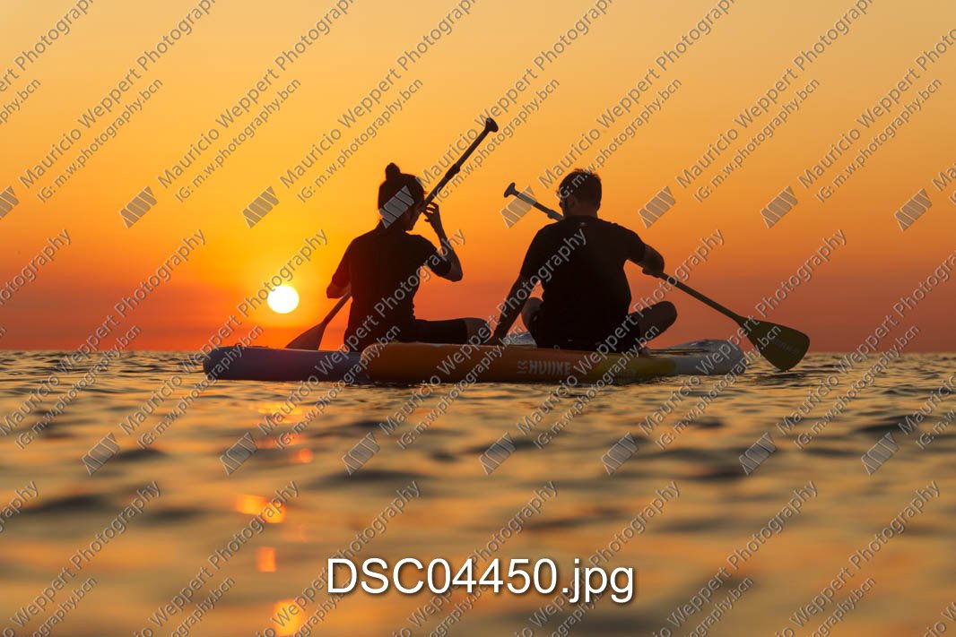 DSC04450.jpg