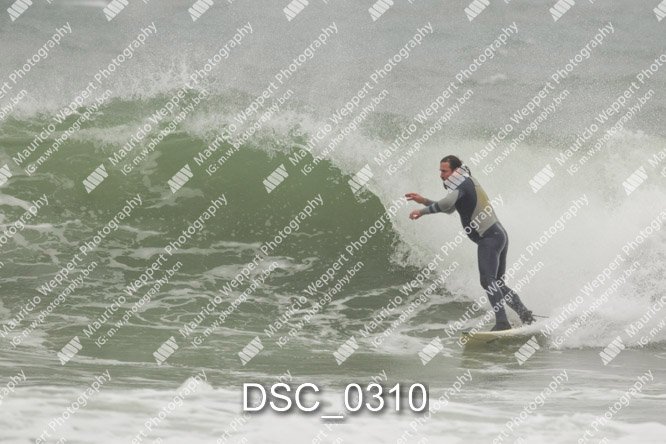 DSC_0310.jpg