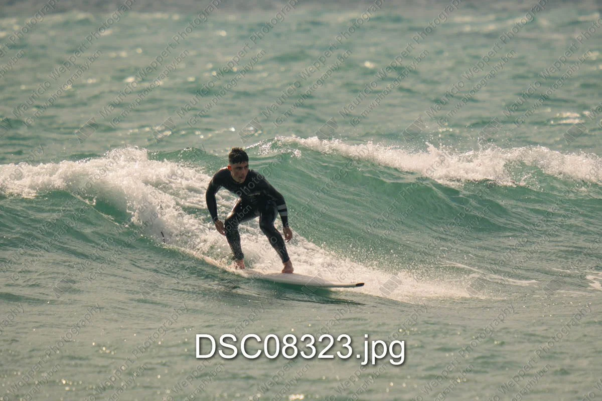 DSC08323.jpg
