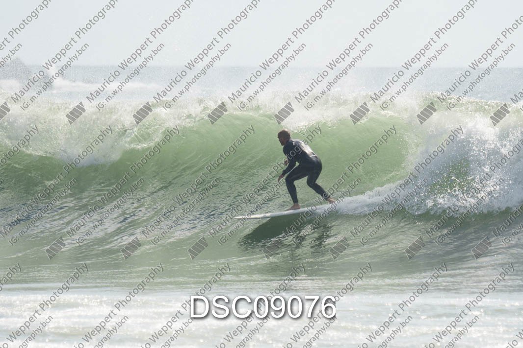 DSC09076.jpg