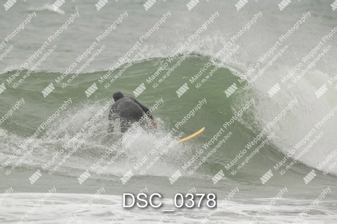 DSC_0378.jpg