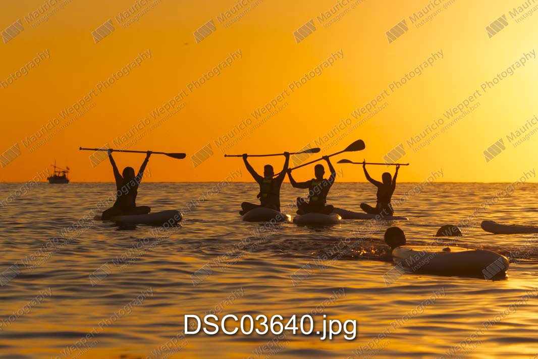 DSC03640.jpg