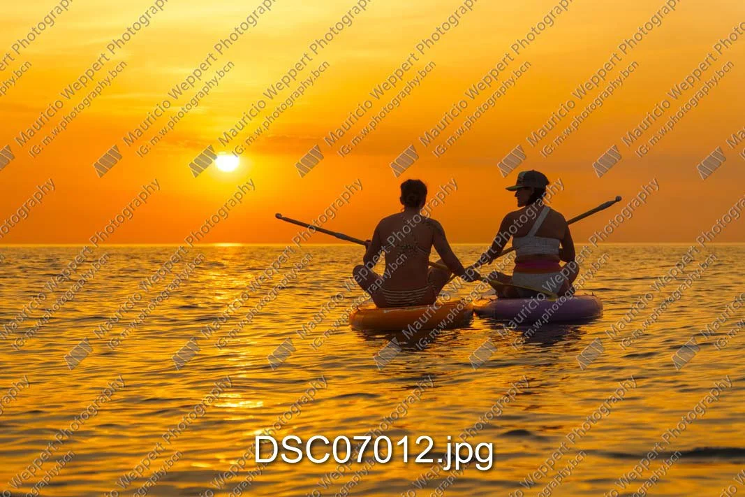 DSC07012.jpg