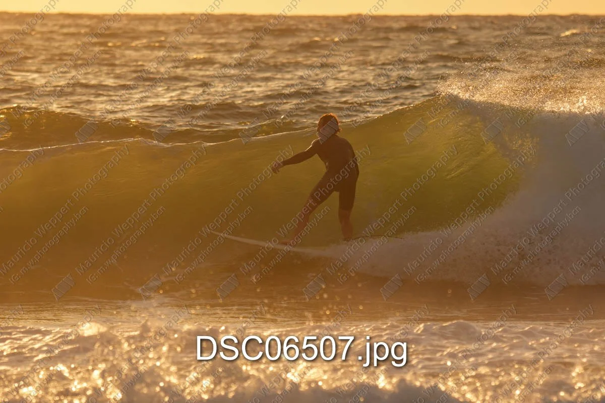 DSC06507.jpg