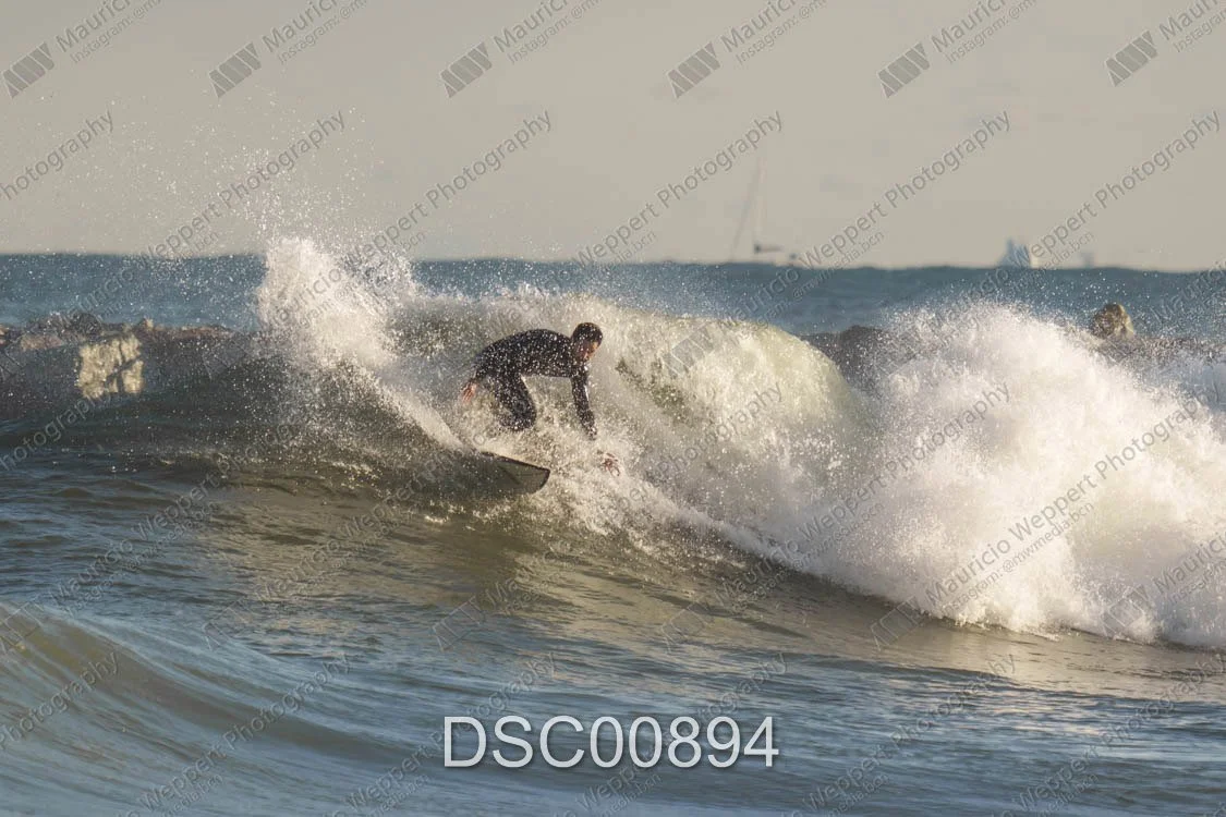 DSC00894.jpg