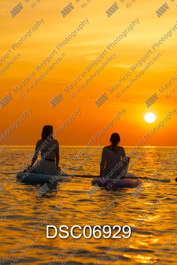 DSC06929.jpg