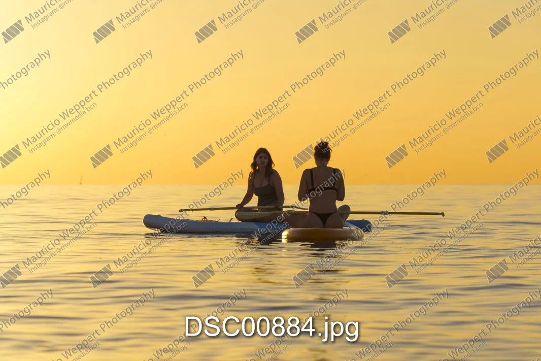 DSC00884.jpg