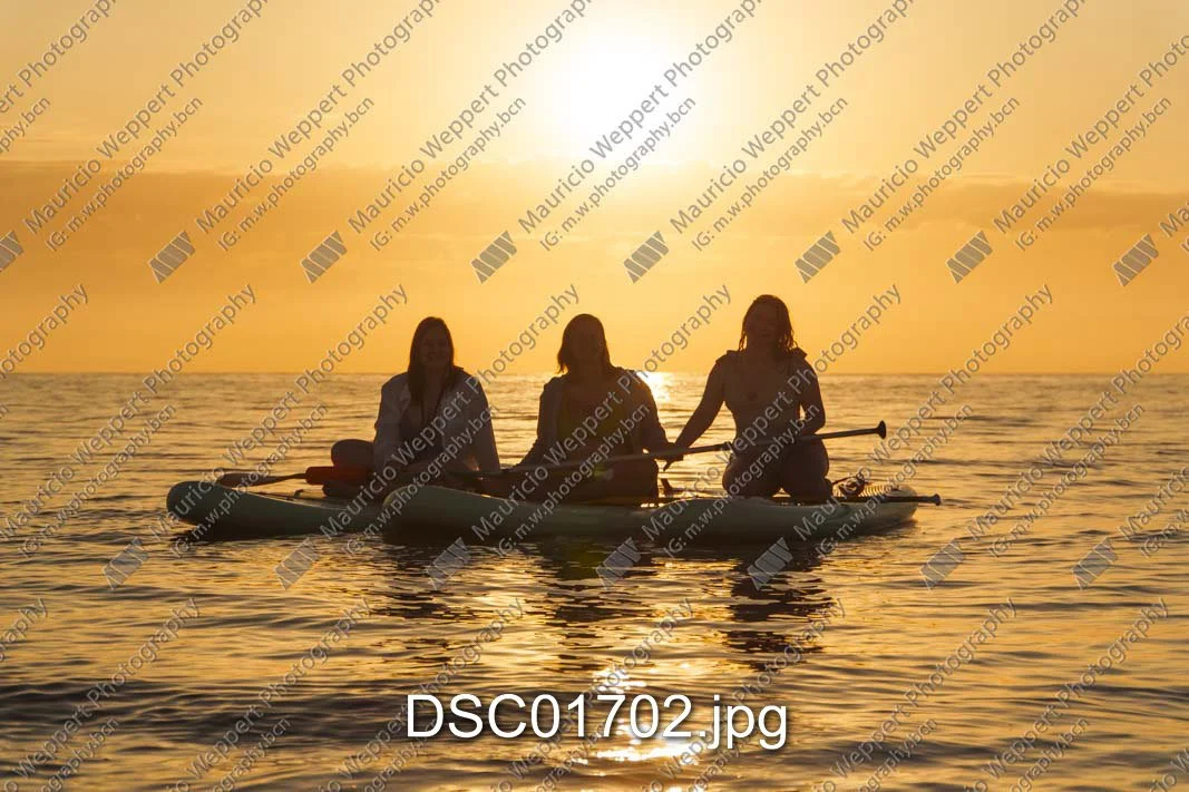 DSC01702.jpg