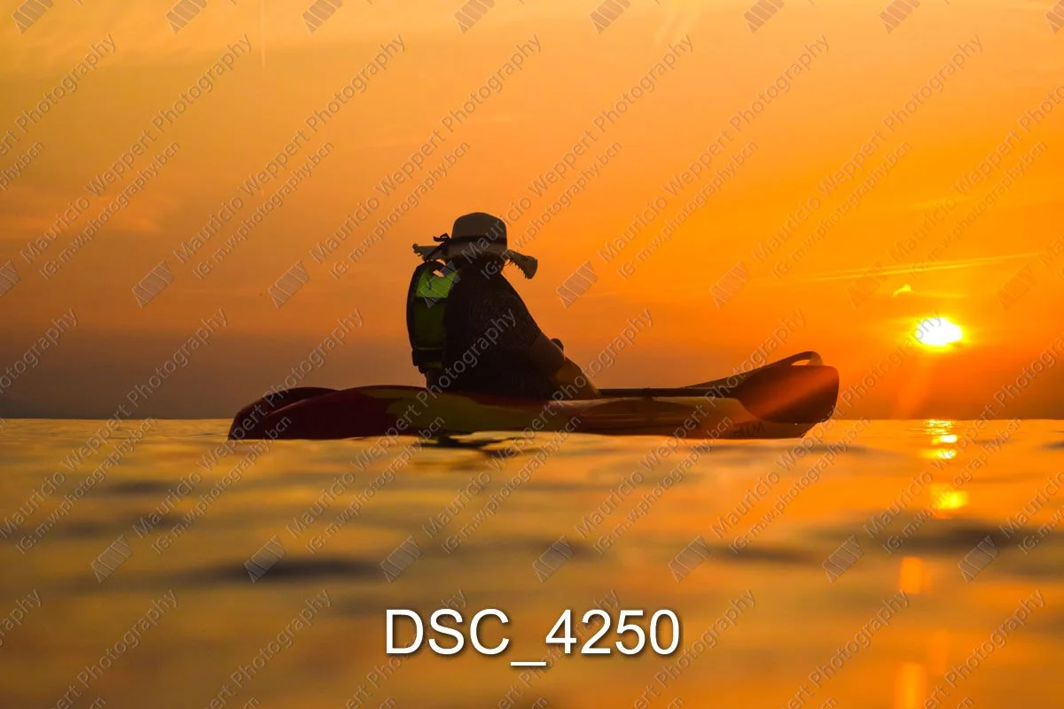 DSC_4250.jpg