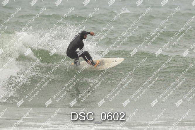 DSC_0602.jpg