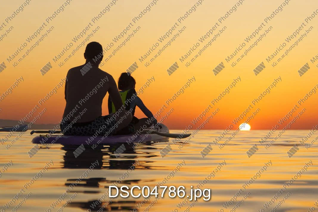 DSC04786.jpg