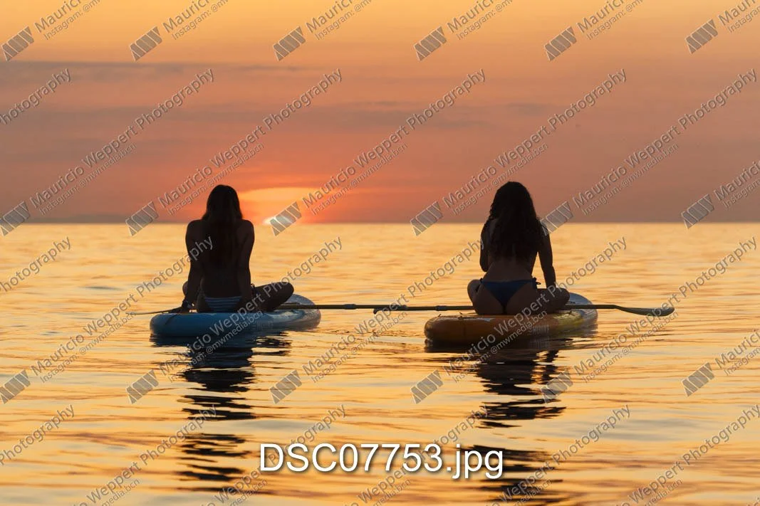 DSC07753.jpg