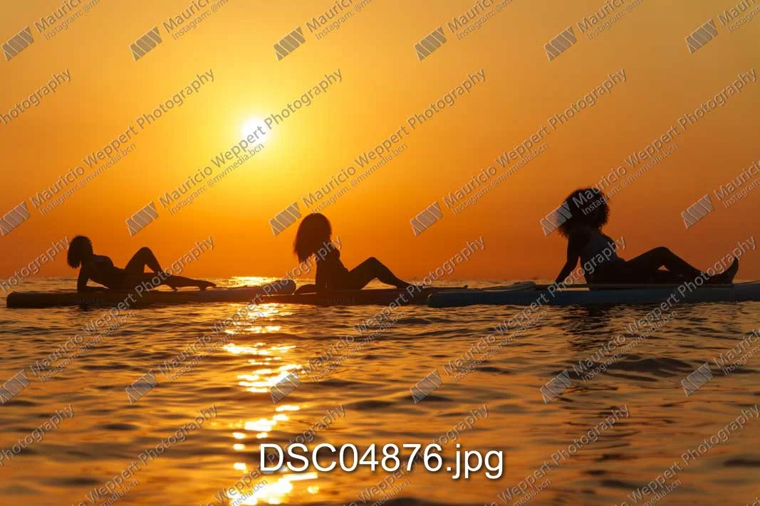 DSC04876.jpg