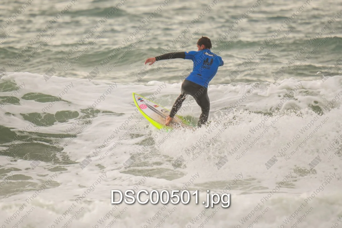 DSC00501.jpg