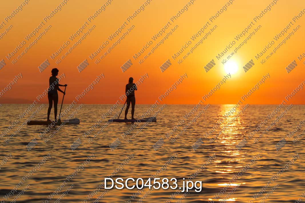 DSC04583.jpg
