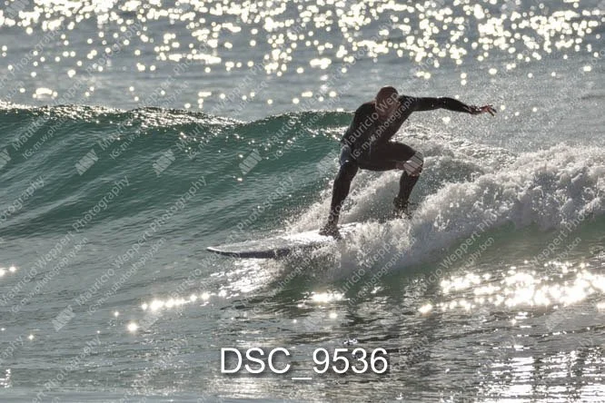DSC_9536.jpg