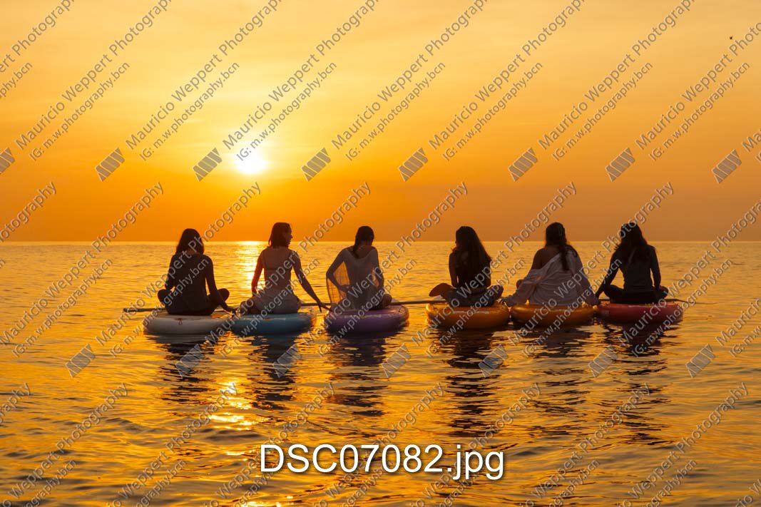 DSC07082.jpg