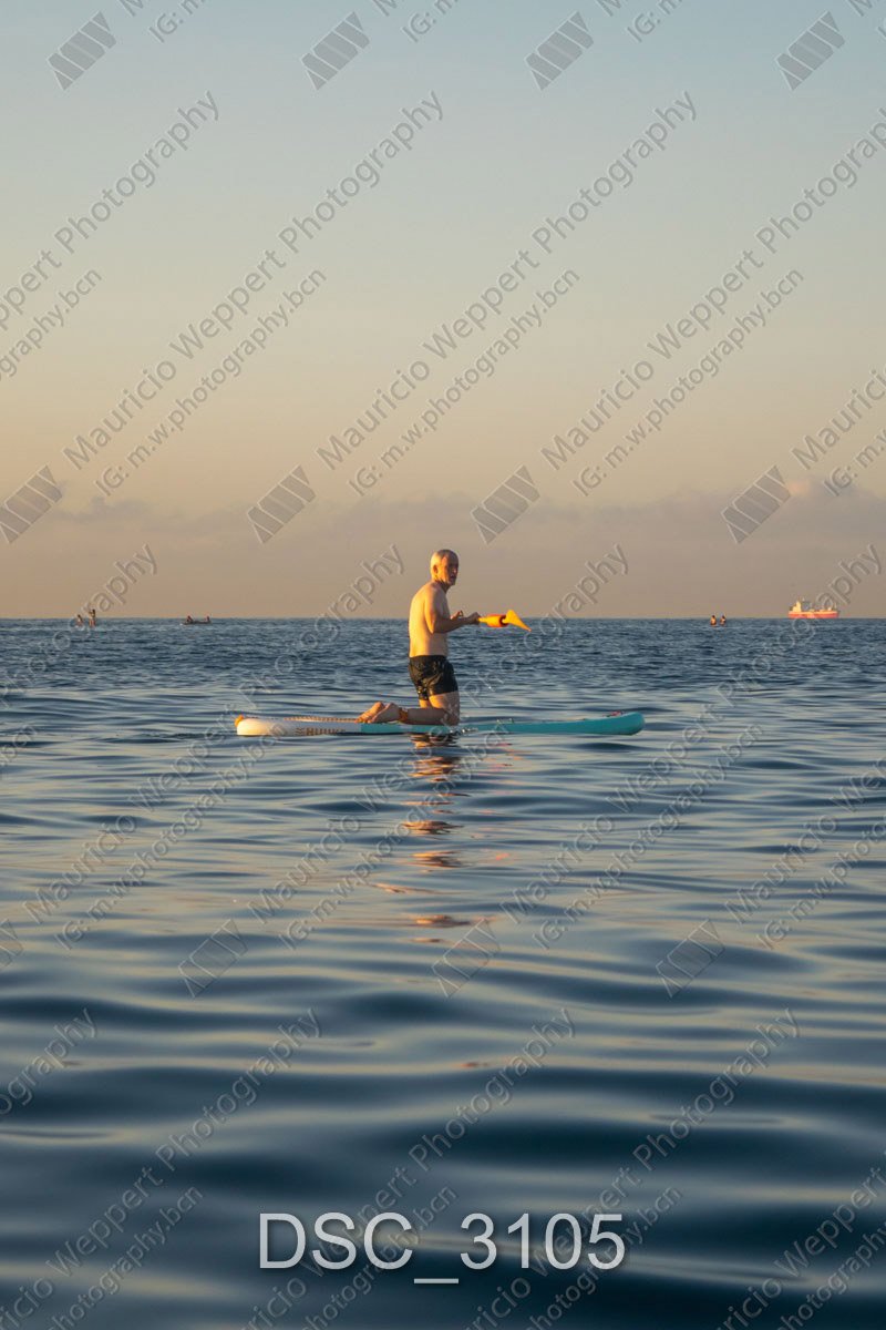 DSC_3105.jpg