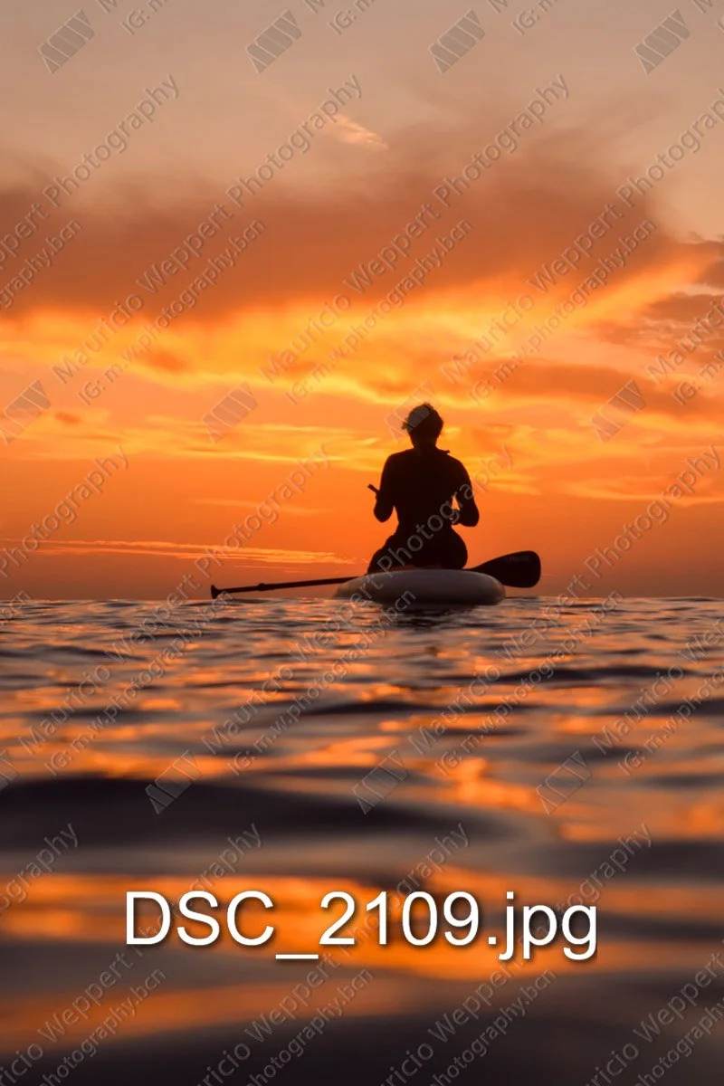 DSC_2109.jpg