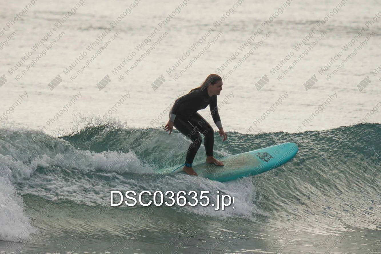 DSC03635.jpg